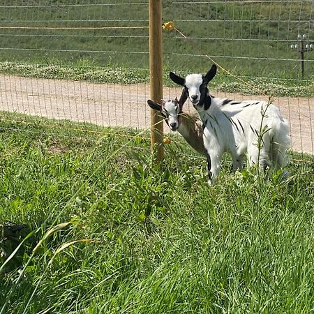 Certine Agriturismo Asciano Dış mekan fotoğraf