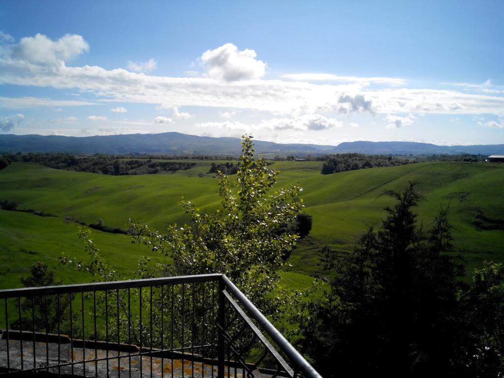 Certine Agriturismo Asciano Dış mekan fotoğraf