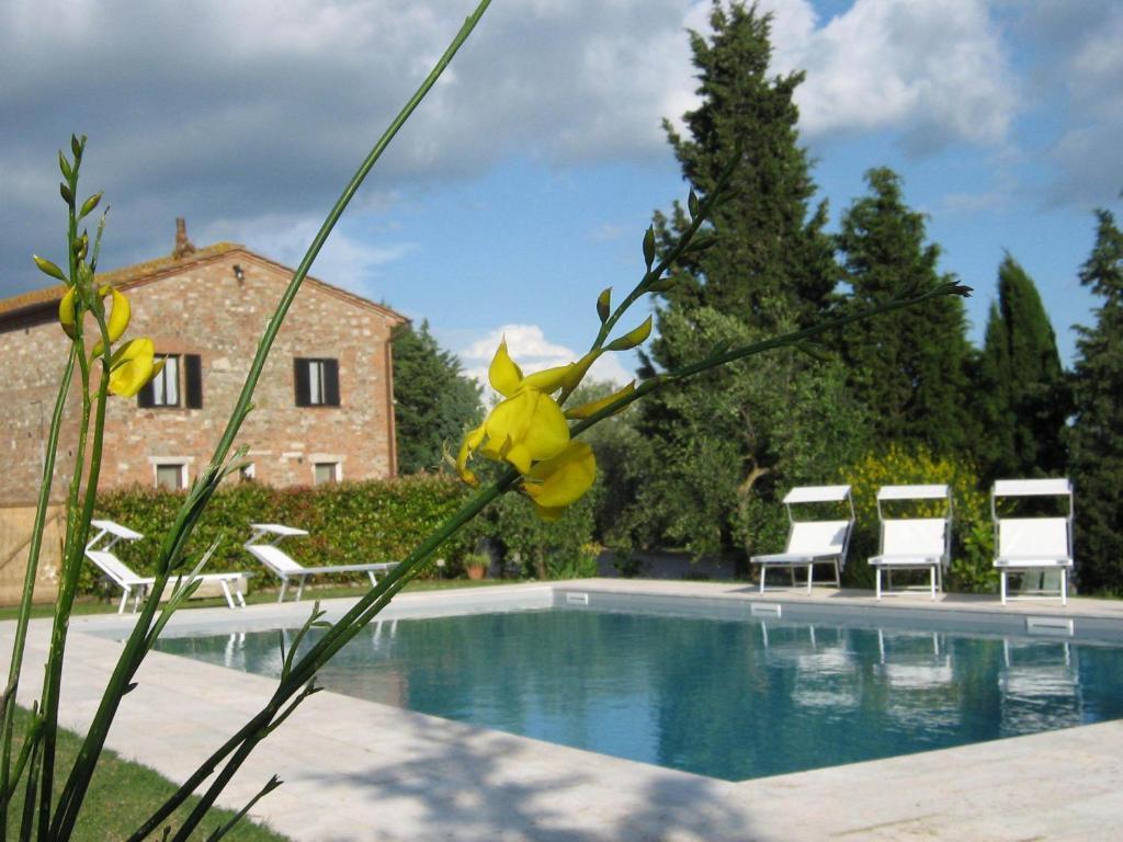 Certine Agriturismo Asciano Dış mekan fotoğraf