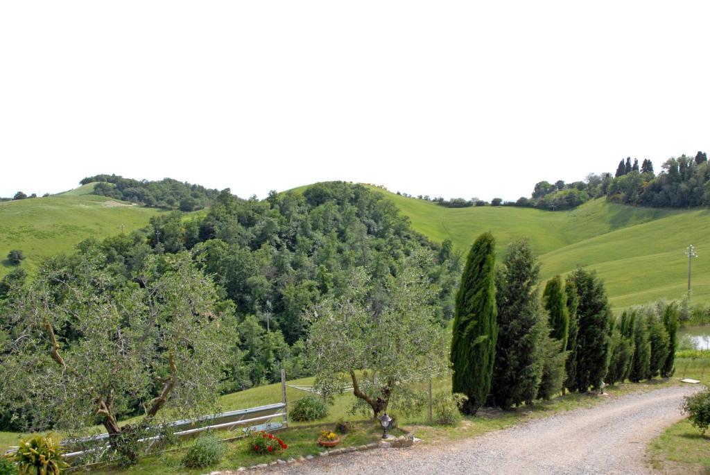 Certine Agriturismo Asciano Dış mekan fotoğraf