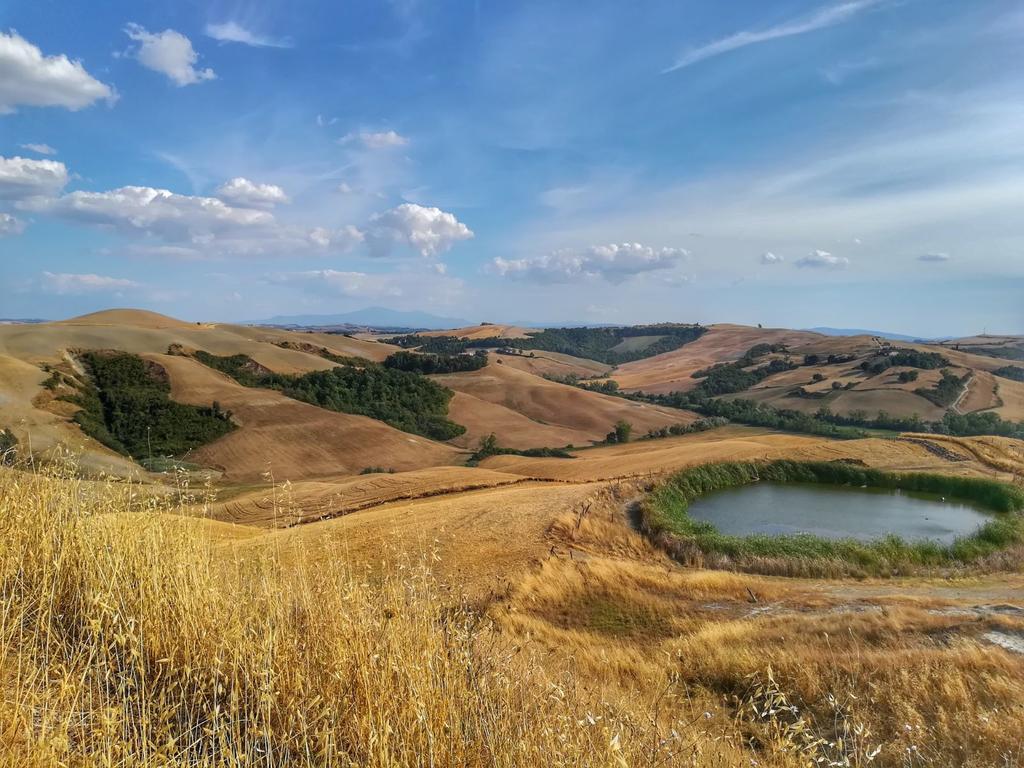 Certine Agriturismo Asciano Dış mekan fotoğraf
