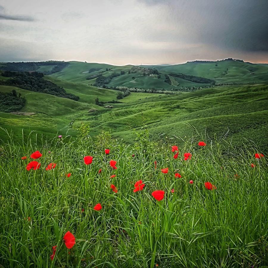 Certine Agriturismo Asciano Dış mekan fotoğraf